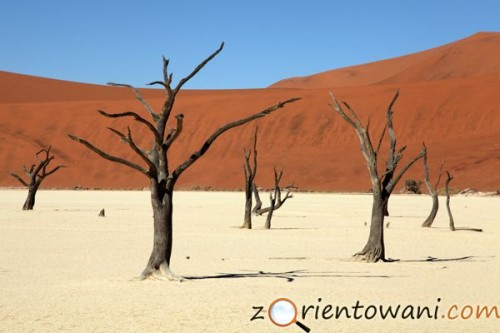 Pustynia Namib, Namibia (fot. Marcin Złomski)