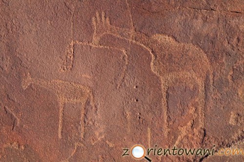 Rysunki naskalne plemienia San, Twyfelfontein, Namibia (fot. Marcin Złomski)