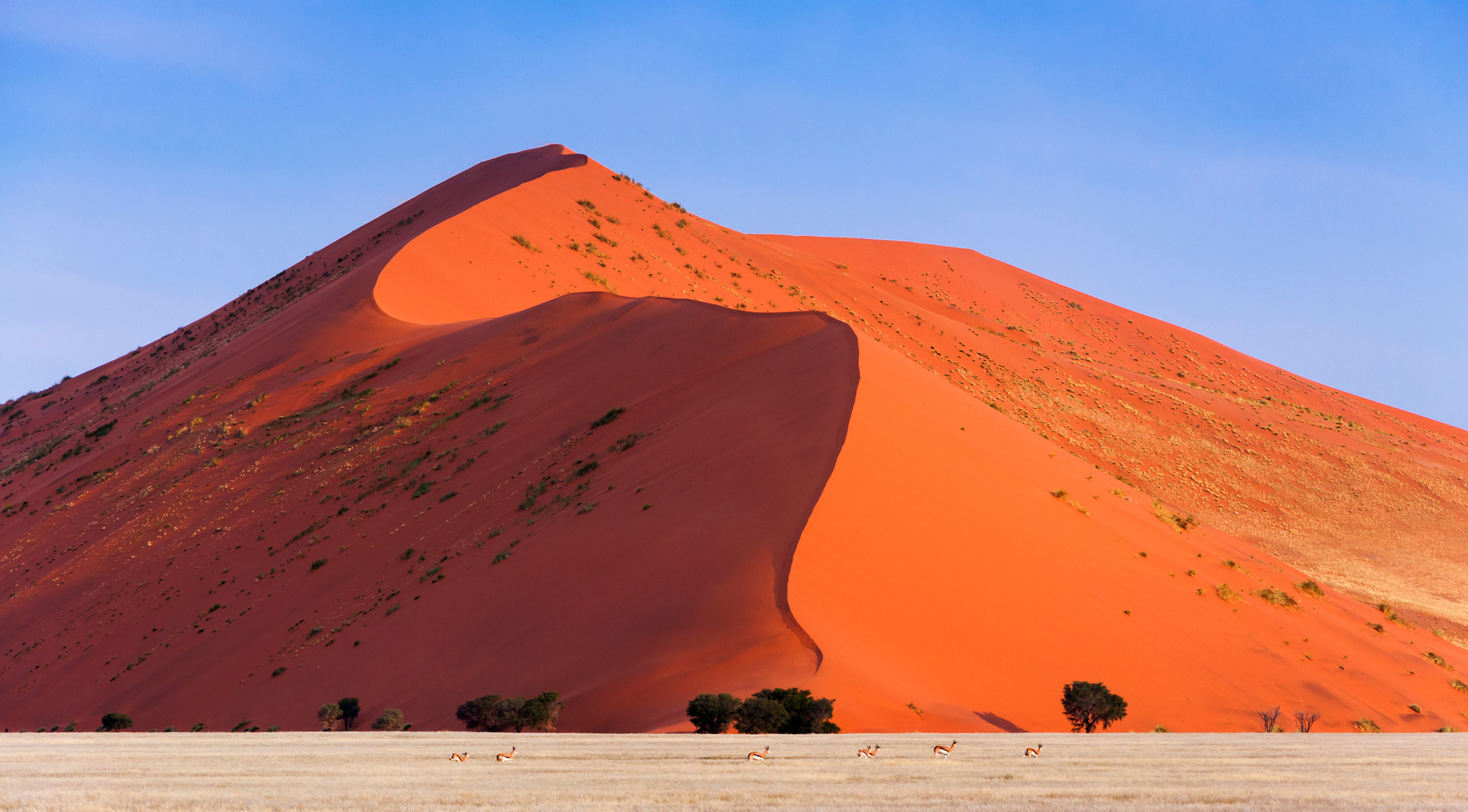 Pod rozgwieżdżonym niebem Namibii