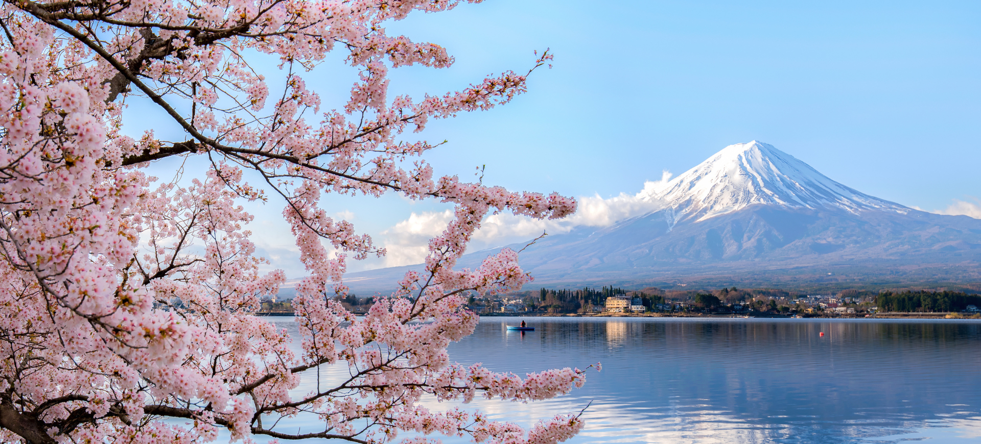 Japonia w kwiatach wiśni