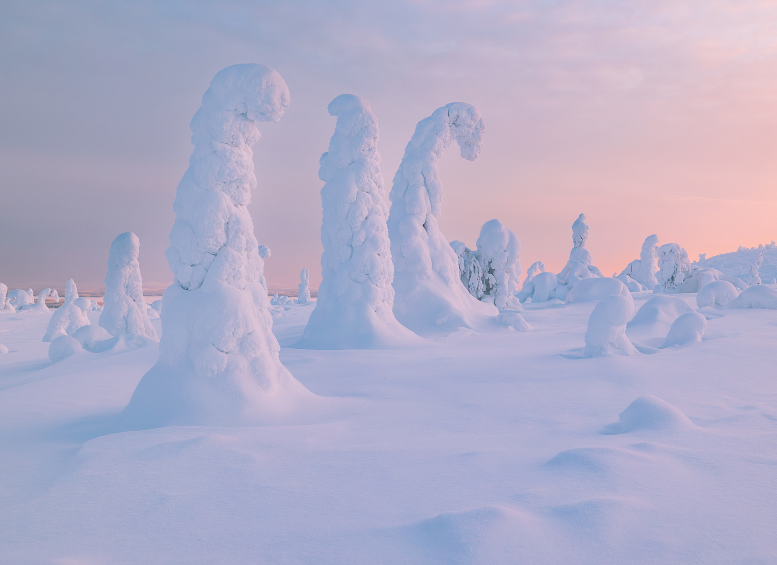 Z wizytą u Saami - przez fińską i norweską Laponię