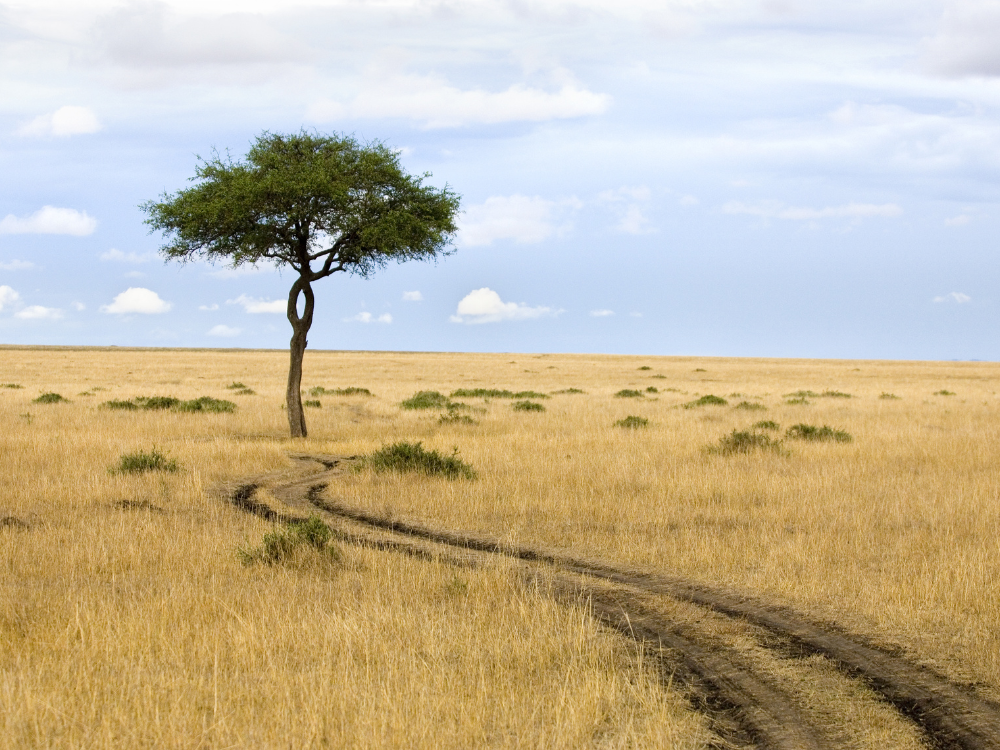 Kenijskie safari z jeziorem Turkana