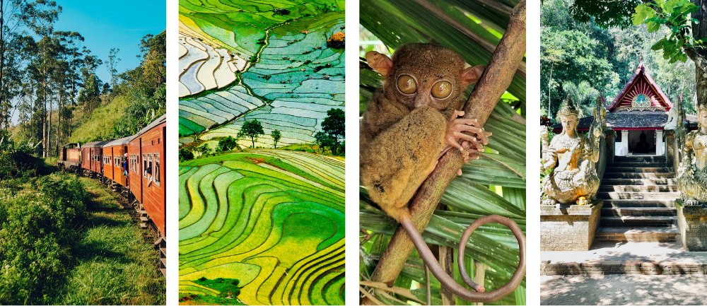 Pola ryżowe w wietnamie, świątynie w Tajlandii