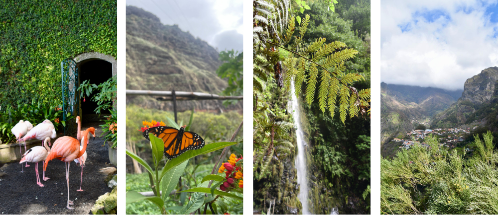 Krajobrazy Madery i Azor&oacute;w