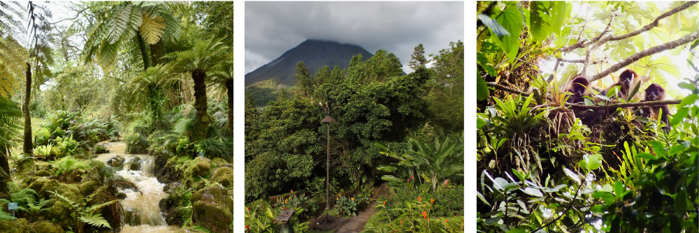Panama, Kostaryka i Azory bujna zielen, dzungla