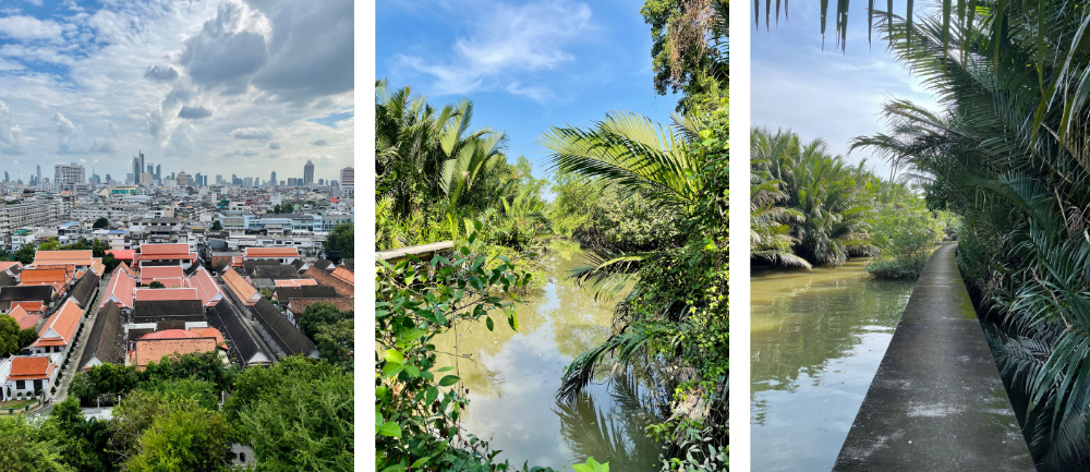 Zielona dżungla i wijące się ścieżki rowerowe w Bang Kachao &ndash; zielonych płucach Bangkoku, idealnych na spokojny odpoczynek z dala od zgiełku miasta.