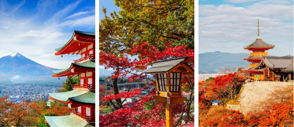 Jesienne klony w Japonii