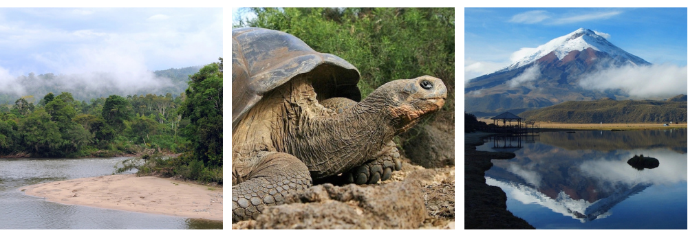 Ekwador, Galapgos, Żółwie, Amazonia, Quito