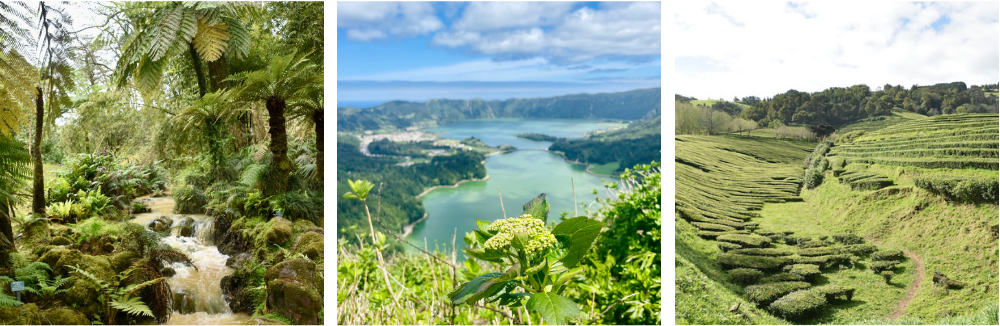 Azory, Sao Miguel, Sete Cidades