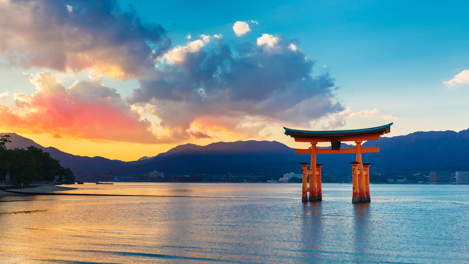 Torii