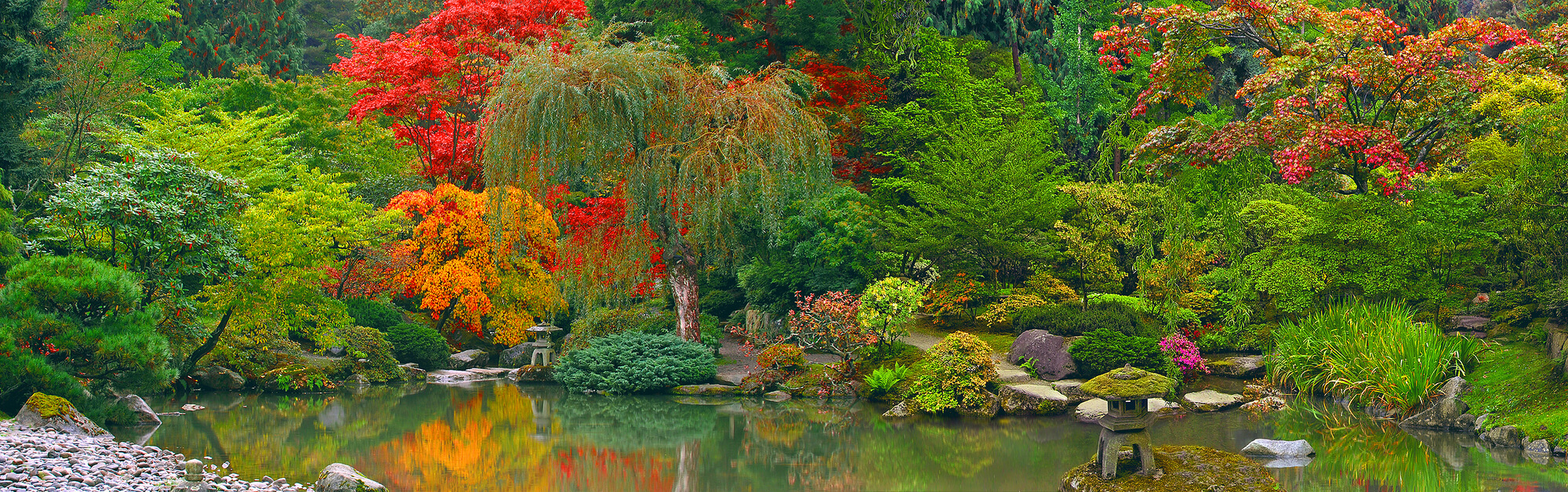 Japanese Garden